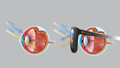 All Sunglasses Should Have 100% UV Protection