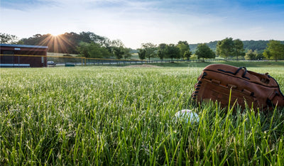 Eliminate Distortion On The Baseball Field