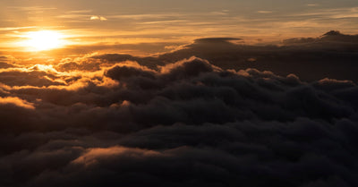 Adjusting to Daylight Savings Time