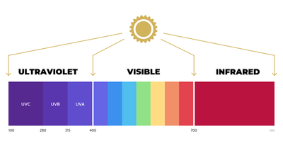 Understanding Blue Light